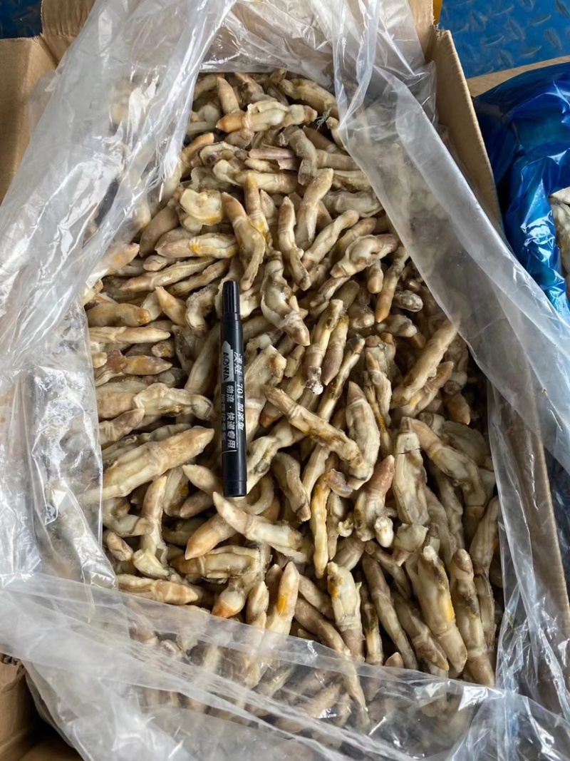 蛏子肉