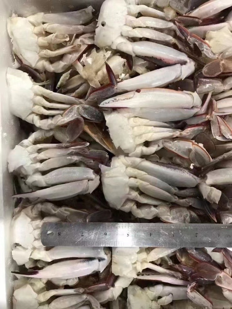 切蟹