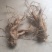 种植6年以上的巴西人参老根，半斤到斤半不等。