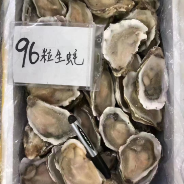 生蚝