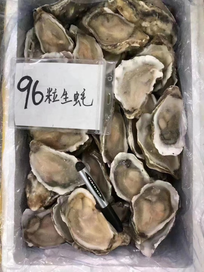 生蚝