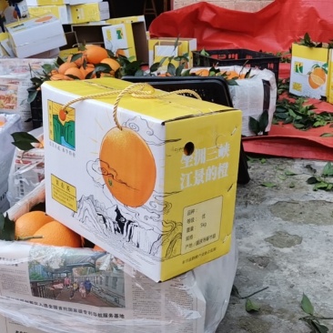 重庆市奉节县各种脐橙品种大量代收代发