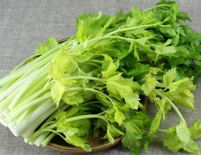 武汉洪山红菜苔特写