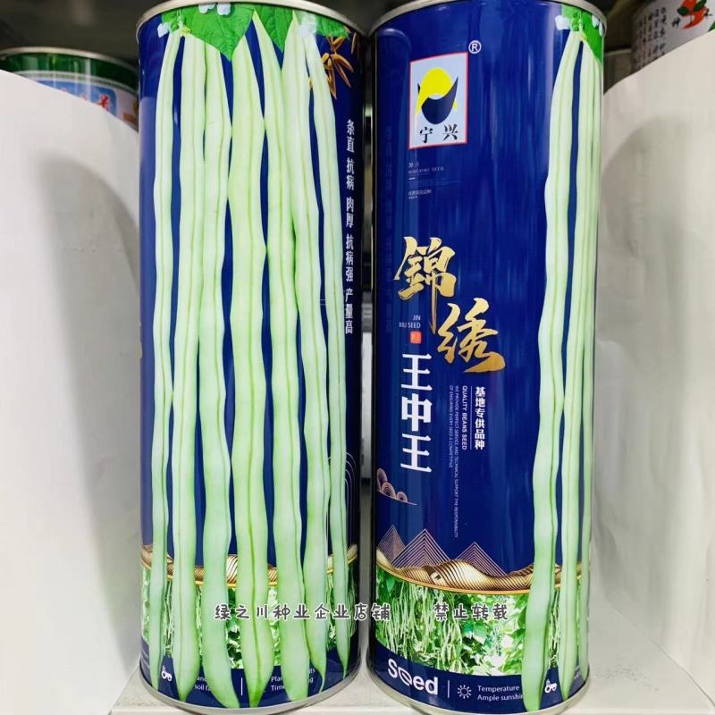 基地专用品种锦绣架豆王种子无筋豆条直抗病肉厚白架豆种子