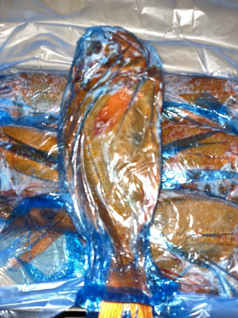 深海长寿鱼。送礼佳品