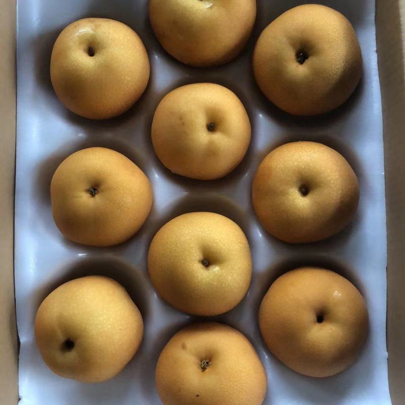 丰水梨，三层箱装42#，果面干净，大小均匀，我需要的联系