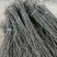 精品苹果苗苹果树苗红富士苹果苗诚信经营价格低