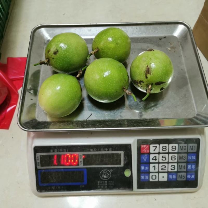 2023年好品种百香果品种钦蜜九号百香果嫁接苗批发啦