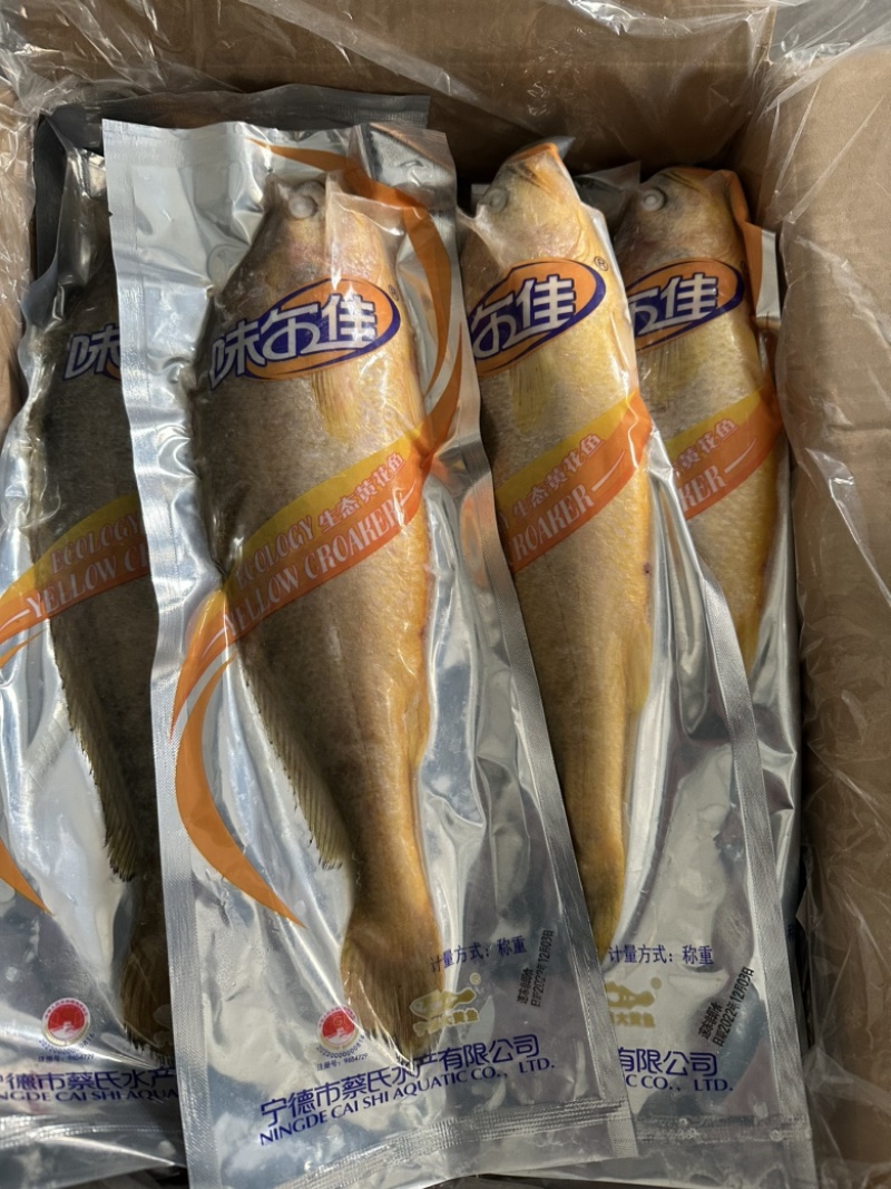 生态黄花鱼500/600规格，活鱼速冻，鲜度好