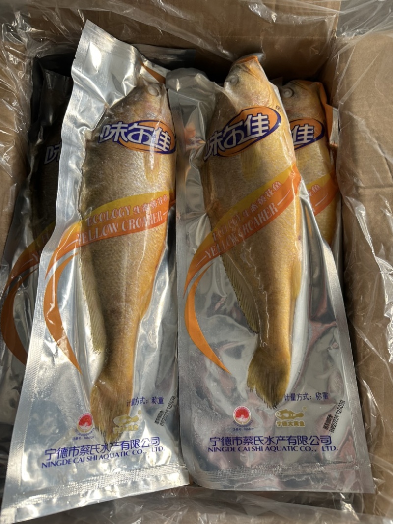 生态黄花鱼500/600规格，活鱼速冻，鲜度好