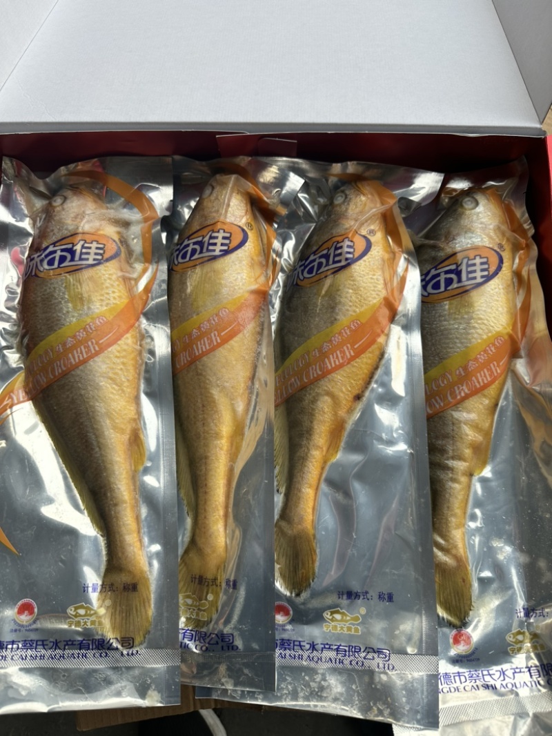 生态黄花鱼500/600规格，活鱼速冻，鲜度好