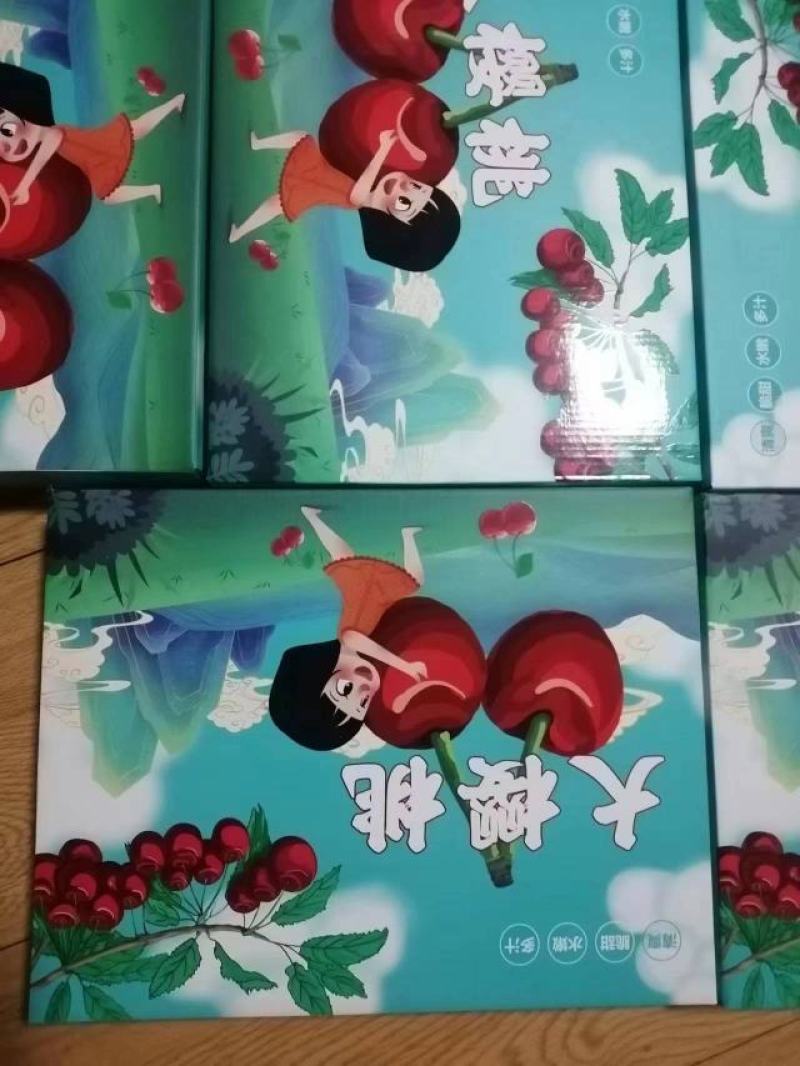 【美早樱桃】基地直供，高端礼盒装，对接商超电商，全国发货