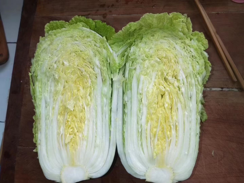 【推荐】大白菜现货供应需要的老板请联系全国接单发货