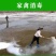 石灰粉