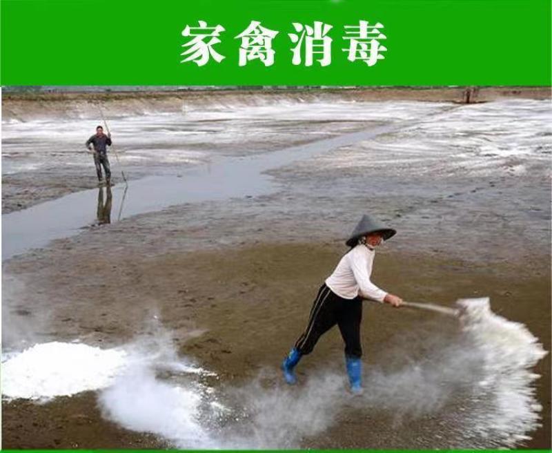 石灰粉