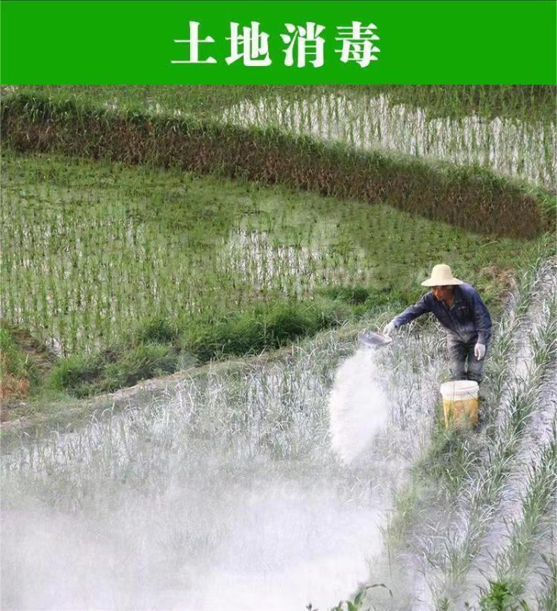 石灰粉