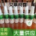 天然艾草纯露厂家直发一手货源价格可谈欢迎致电咨询