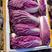 《春秋》两季紫白菜，提供各种泡沫箱、包装袋，多种规格可选