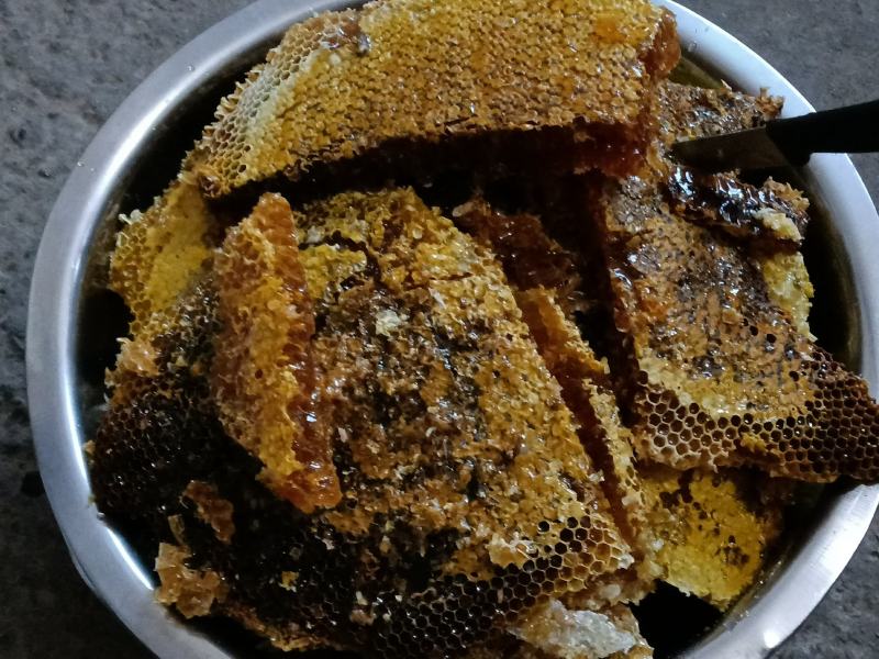 桂林瑶山土蜂蜜，瑶山自然特产