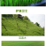 百慕种子四季常青绿化护坡狗牙根护坡高羊茅黑麦草草坪草籽