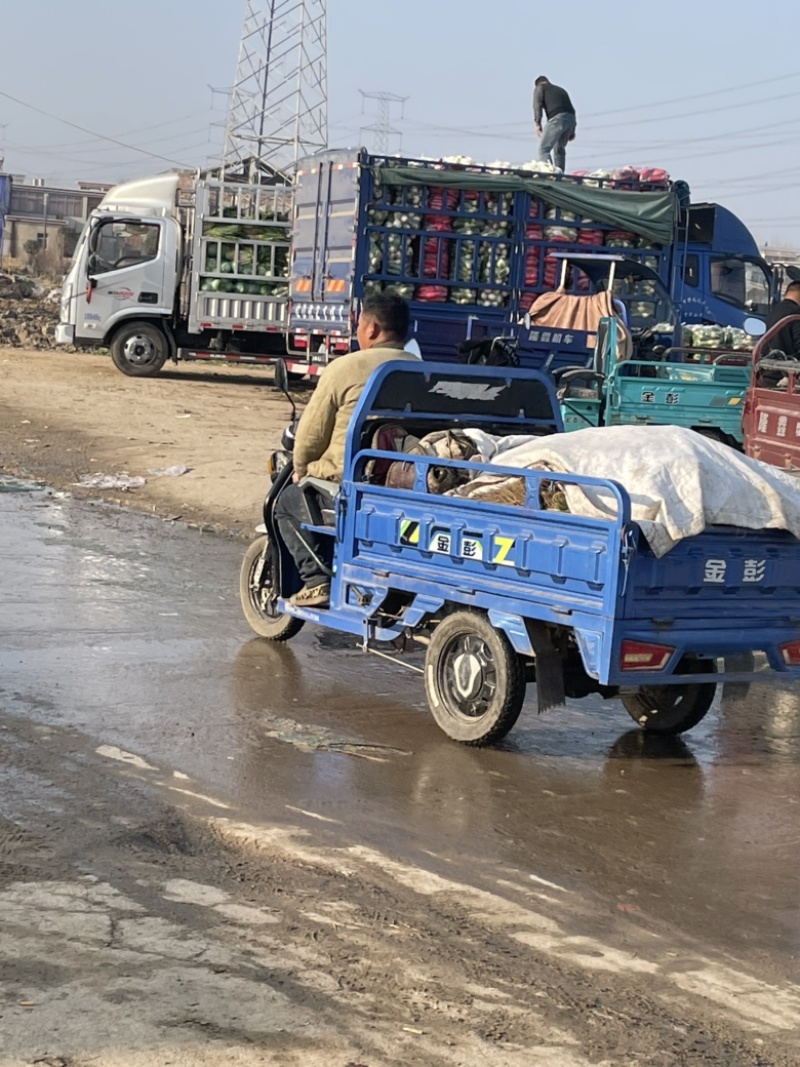 需要的朋友可以联系我