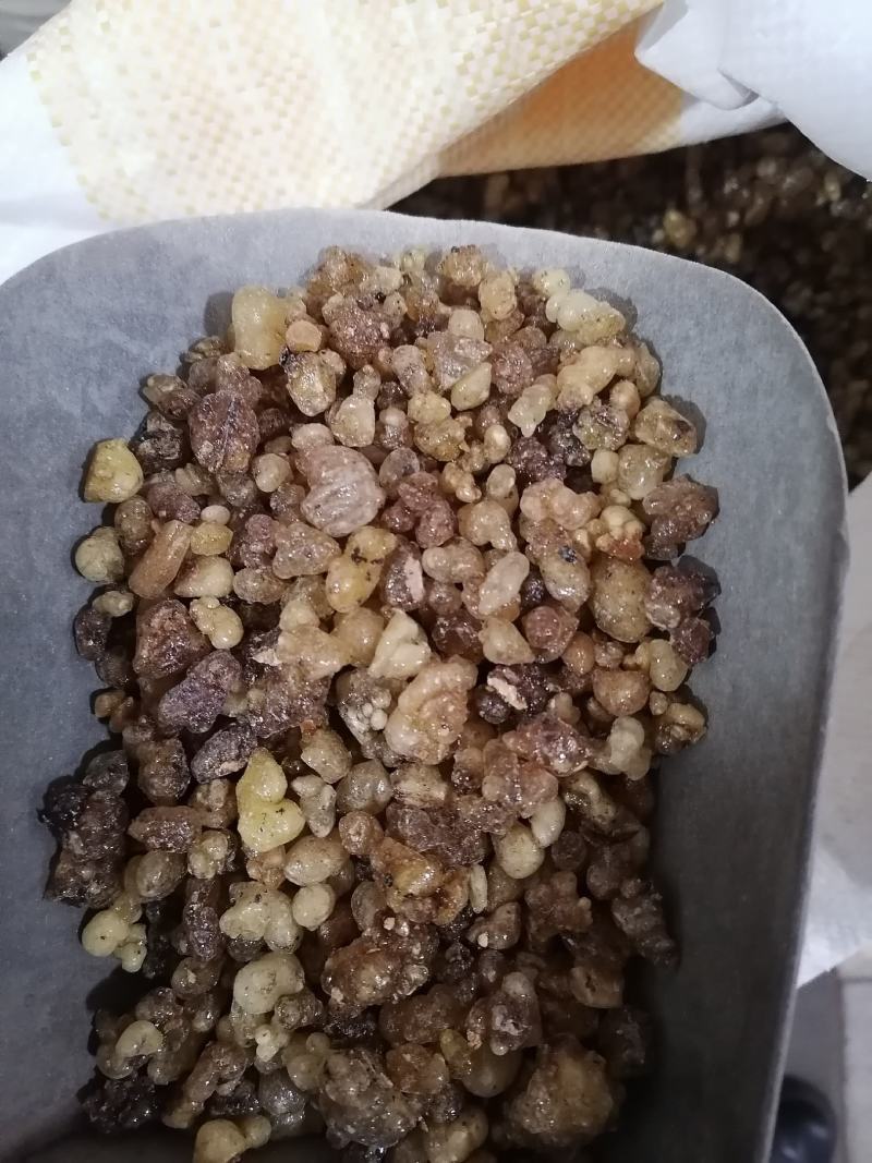 乳香制乳香乳香珠各种中药材批发零售各种规格中药材