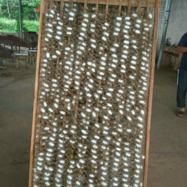 蚕簇、竹制品、蚕茧