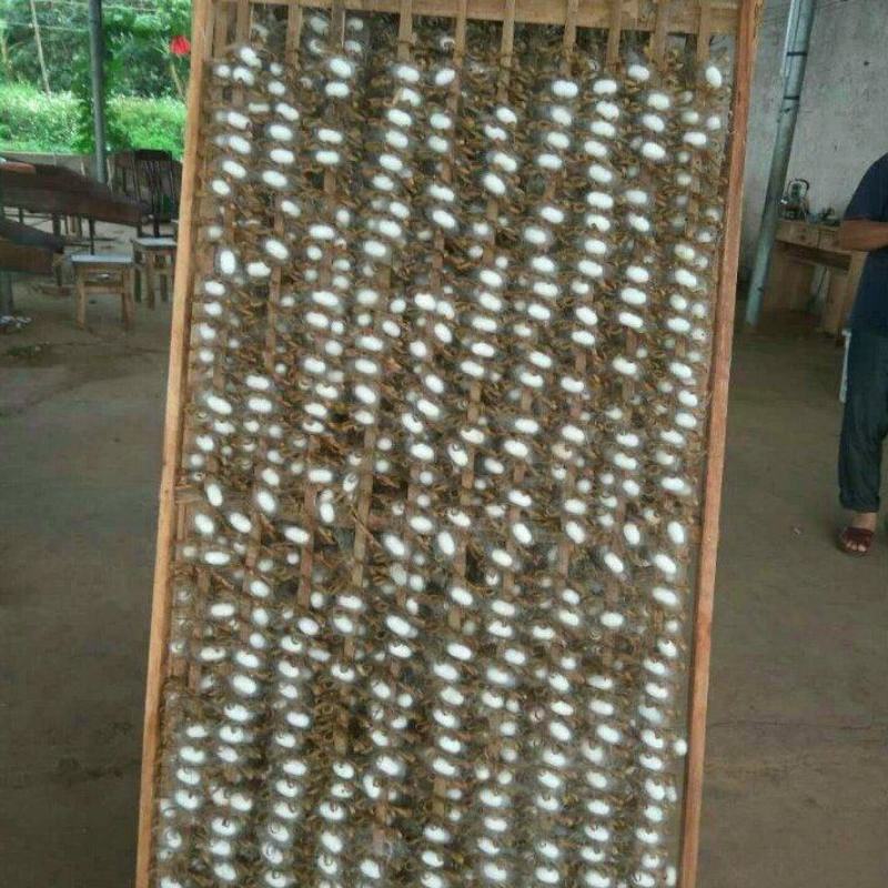 蚕簇、竹制品、蚕茧