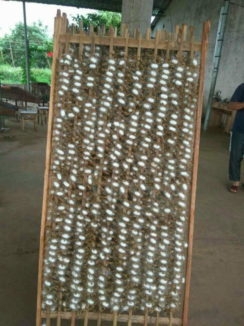 蚕簇、竹制品、蚕茧