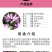 南非万寿菊种子多年生四季种室内外阳台庭院易活耐寒非洲菊花