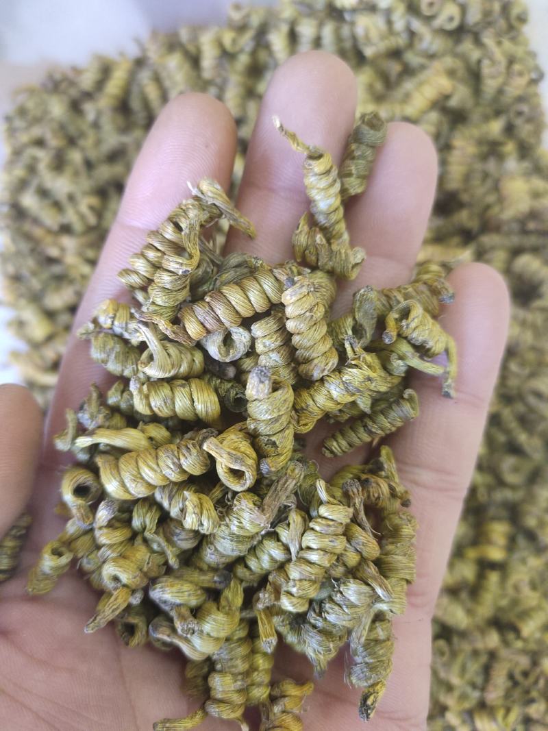 霍山石斛一级选装霍山米斛一手货源量大从欢迎采购下单
