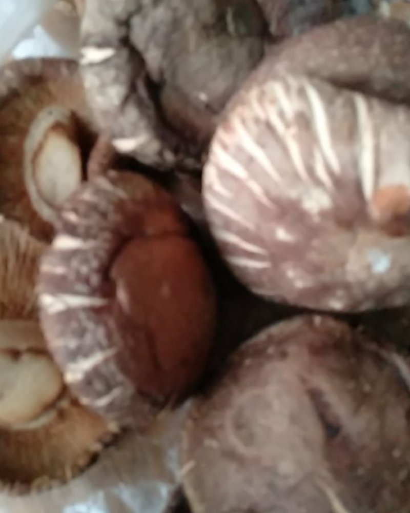 鲜香菇，