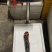 鲜冻直波龙
