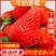 [推荐]甜宝草莓量大质高支持各种包装欢迎前来采购