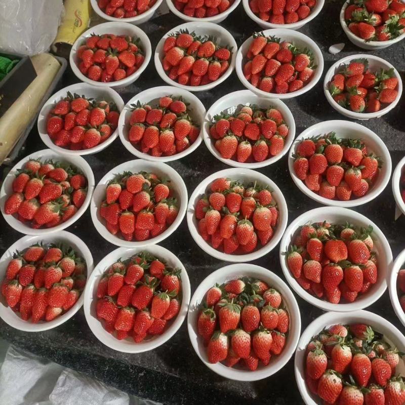 [精选]甜宝草莓货量大，品质高可代收量大从优欢迎采购