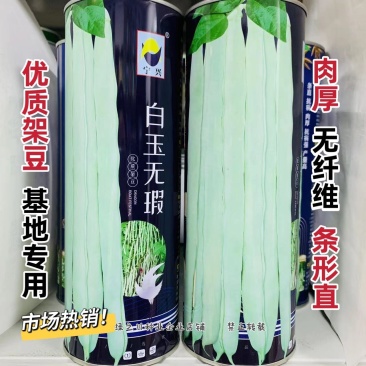 白玉无瑕架豆角种子新品种架芸豆种子抗病产量高四季豆种子