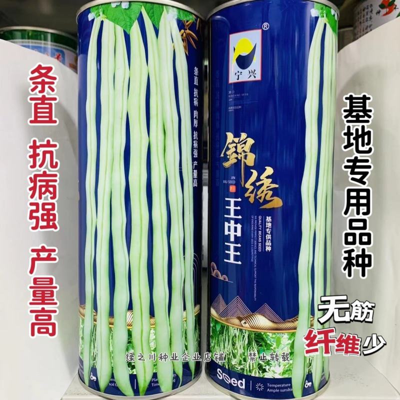 基地专用品种锦绣架豆王种子无筋豆条直抗病肉厚白架豆种子