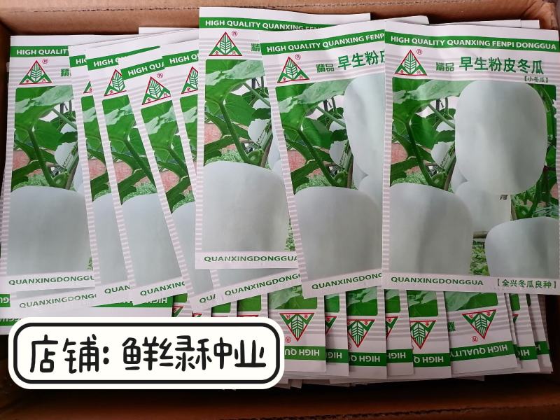 2~8公斤小型早熟粉皮冬瓜早生粉皮冬瓜肉嫩味鲜上市早