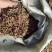 厂家直销正品白芨现货秒发新鲜采摘品质保证