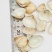 歪嘴妹贝壳工艺原料小贝壳，量大从优欢迎选购