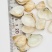 歪嘴妹贝壳工艺原料小贝壳，量大从优欢迎选购