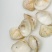 歪嘴妹贝壳工艺原料小贝壳，量大从优欢迎选购