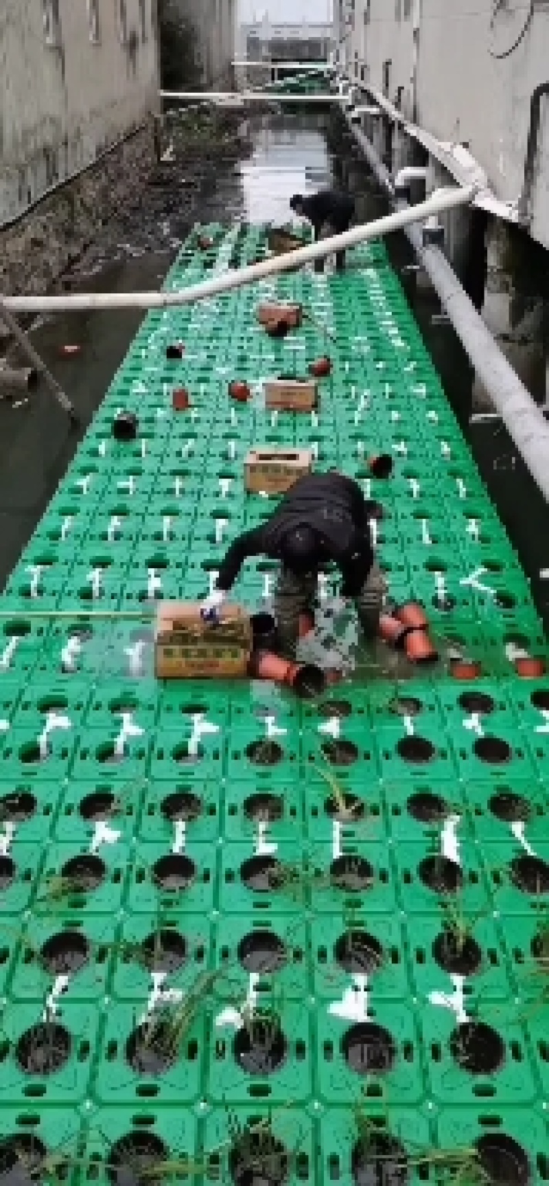 生态浮岛，人工浮岛，质优有保障，欢迎广大客户垂询