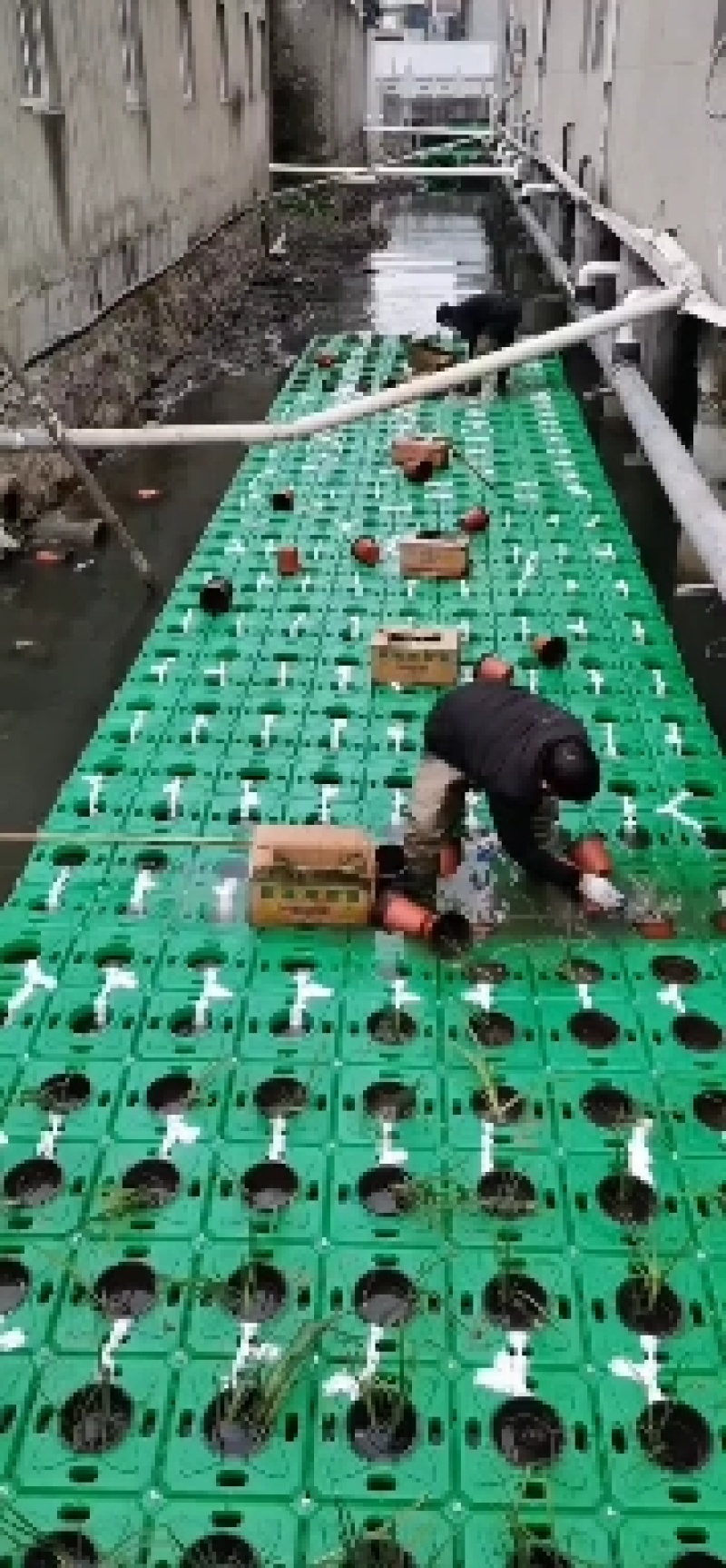 生态浮岛，人工浮岛，质优有保障，欢迎广大客户垂询