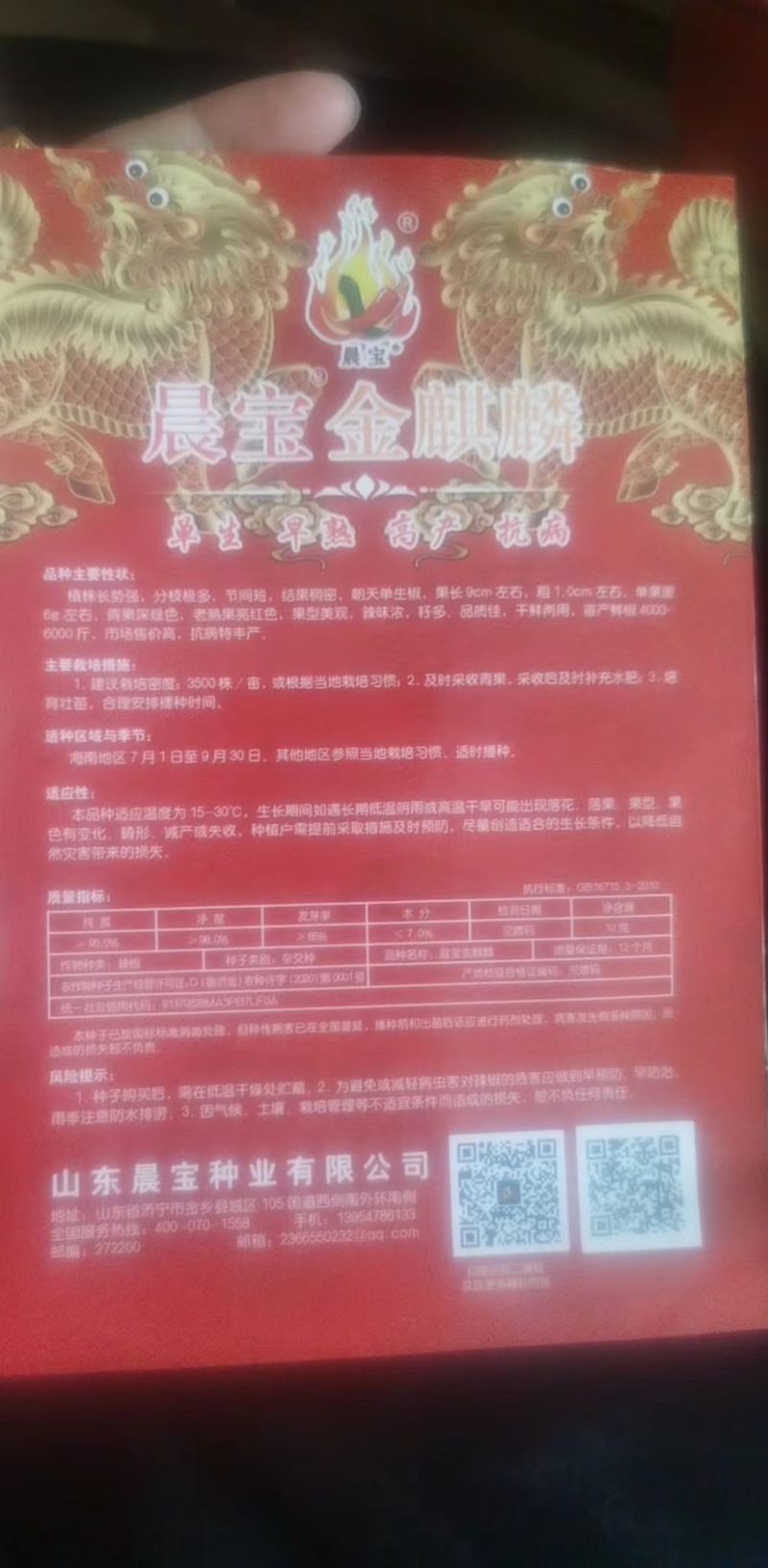 【金道种业】金麒麟高辣朝天椒种子免费技术指导包底回收