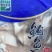 鲈鱼翅鮰鱼翅冷冻鲈鱼翅加州鲈鱼翅鱼鳍海鲜水产