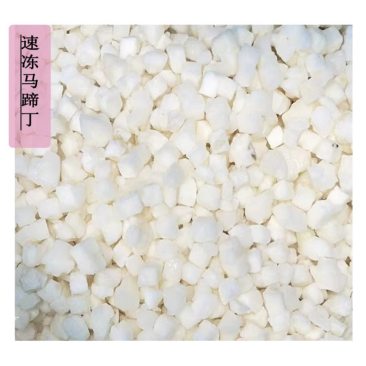 荔浦速冻马蹄粒马蹄丁饺子包子肉馅配料批发0.6统货