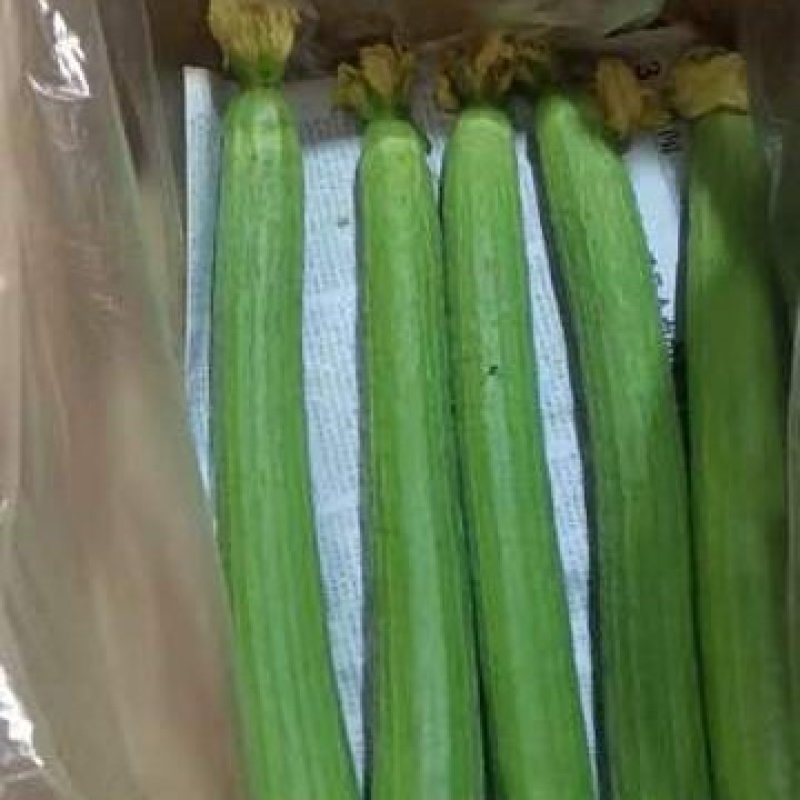 河南优质丝瓜，颜色鲜亮，翠绿，量大从优，欢迎选购！
