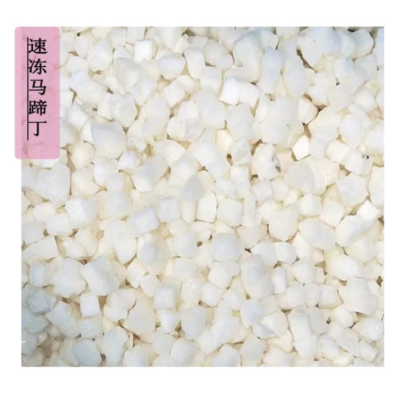 荔浦速冻马蹄粒马蹄丁饺子包子肉馅配料批发0.6统货