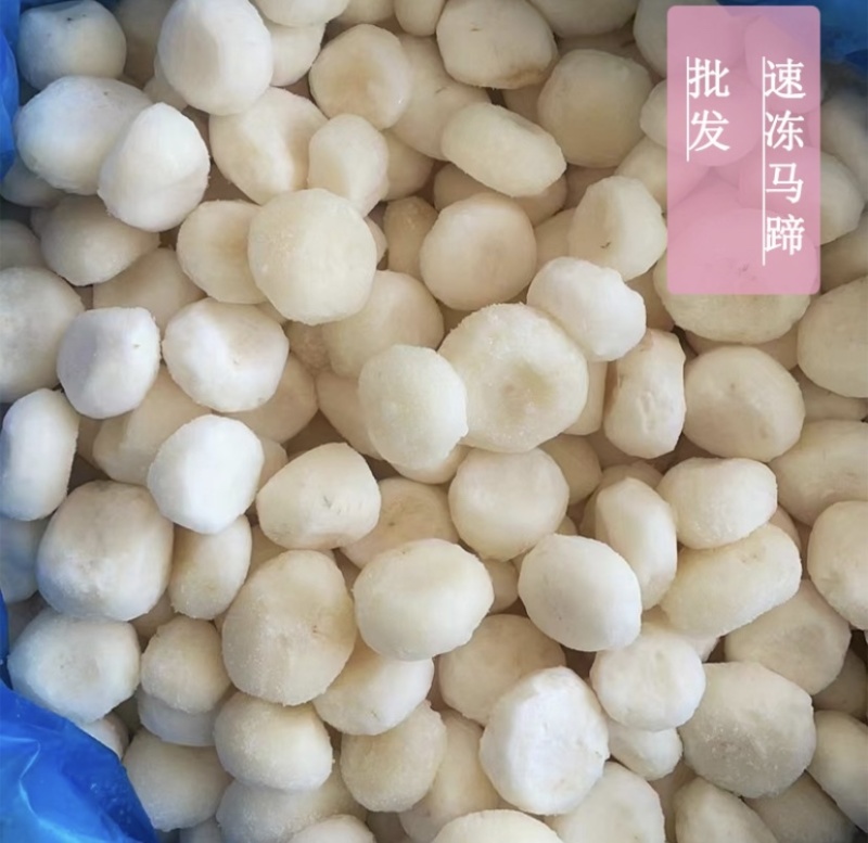 荔浦速冻马蹄粒马蹄丁饺子包子肉馅配料批发0.6统货